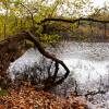 Rursee02